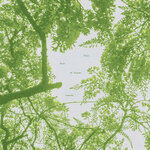 Care To Care (Oliver Palfreyman Rework)