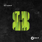 DAVI - Self Align