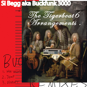 KANJI KINETIC - Si Begg aka Buckfunk 3000: The Tigerbeat6 Arrangements