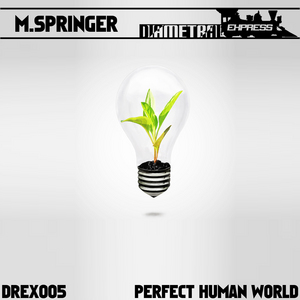 Perfect Human World By Matthias Springer On Mp3 Wav Flac Aiff Alac At Juno Download