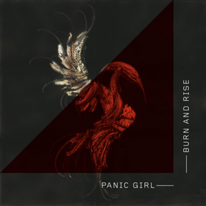 PANIC GIRL - The Panic Girl (remixes)
