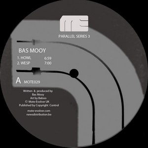 BAS MOOY/CHRIS FINKE - Parallel Series 3