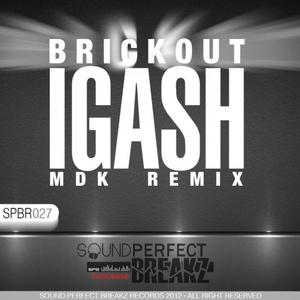 IGASH - Brickout