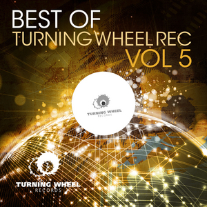 VARIOUS - Best Of Turning Wheel Rec Vol 5