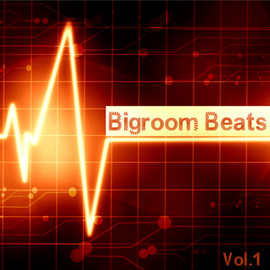 VARIOUS - Bigroom Beats Vol 1
