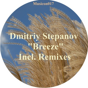DMITRIY STEPANOV - Breeze