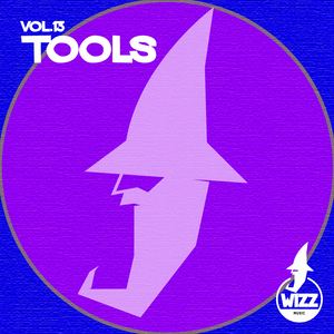 VARIOUS - Tools Vol 13
