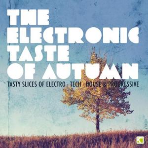 VARIOUS - The Electronic Taste Of Autumn: Tasty Slices Of Electro Tech House & Progressive