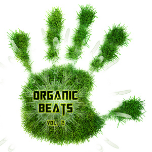 DJ ZEN/VARIOUS - Organic Beats Vol 2