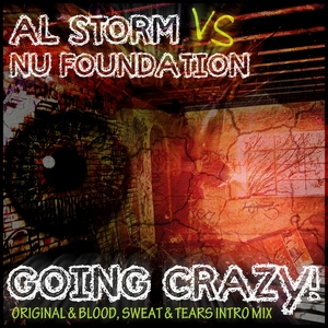 AL STORM/NU FOUNDATION - Going Crazy