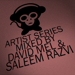 MEL, David/SALEEM RAZVI/VARIOUS - Housepital Artist Series Vol 9 (mixed by David Mel & Saleem Razvi) (unmixed tracks)