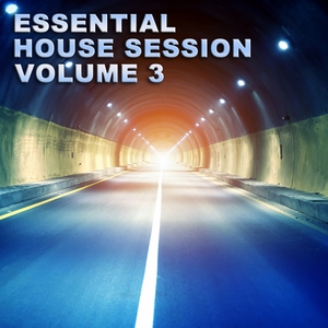 VARIOUS - Essential House Session Vol 3