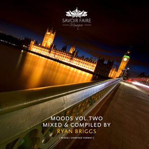 BRIGGS, Ryan/VARIOUS - Moods Vol Two (compiled by Ryan Briggs)