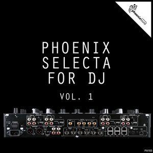 VARIOUS - Phoenix Selecta For DJ Vol 1