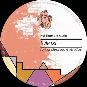 TULIOXI - Spring Cleaning Everyday