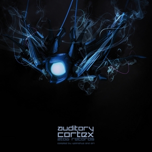 VARIOUS - Auditory Cortex