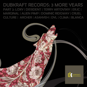 VARIOUS - Dubkraft Records: 3 More Years Part 2