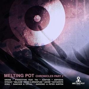 VARIOUS - The Melting Pot Chronicles Part II