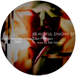 MORGAN, Dan - Beautiful Enigma