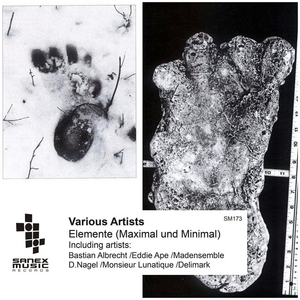 VARIOUS - Elemente (Maximal Und Minimal)
