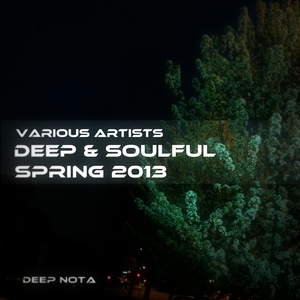 VARIOUS - Deep & Soulful (Spring 2013)