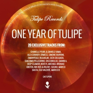 VARIOUS - One Year Of Tulipe
