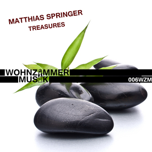 MATTHIAS SPRINGER - Treasures