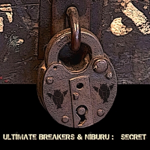 ULTIMATE BREAKERS/NIBURU - Secret