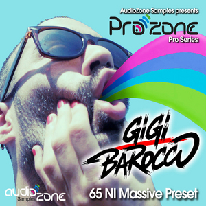 AUDIOZONE STUDIO - ProZone Serie - Gigi Barocco (Sample Pack NI Massive)