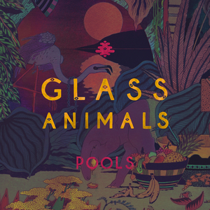Pools by Glass Animals on MP3, WAV, FLAC, AIFF & ALAC at Juno Download