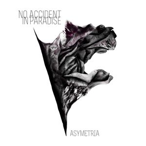 NO ACCIDENT IN PARADISE - Asymetria