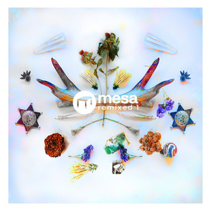 D NUMBERS/VARIOUS - Mesa Remixed 1 (unmixed tracks)