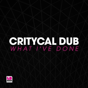 CRITYCAL DUB - What I've Done