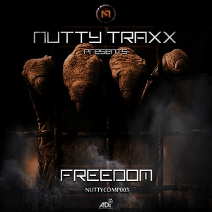 VARIOUS - Freedom
