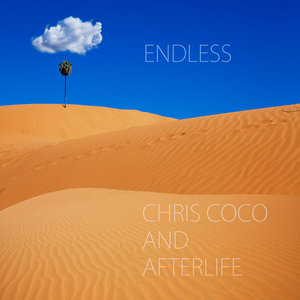 CHRIS COCO/AFTERLIFE - Endless