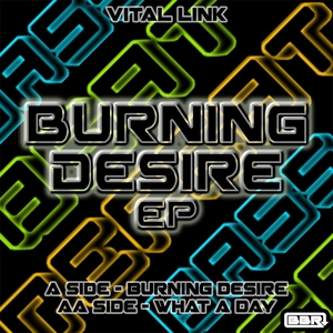 VITAL LINK - Burning Desire EP