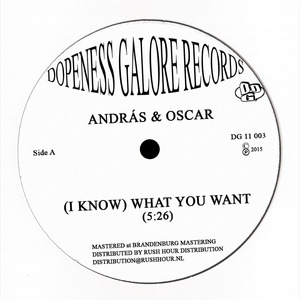 ANDRAS/OSCAR - (I Know) What You Want