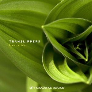 TRANSLIPPERS - Herbalism