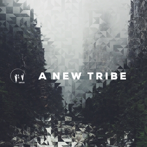 VARIOUS - A New Tribe
