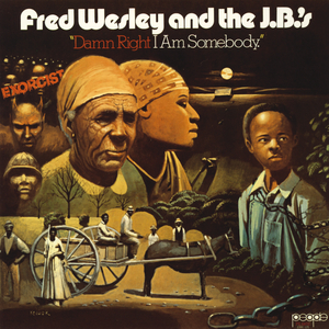 Damn Right I Am Somebody by Fred Wesley & The J.B. s on MP3, WAV, FLAC,  AIFF & ALAC at Juno Download