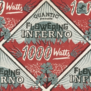 QUANTIC/FLOWERING INFERNO - 1000 Watts