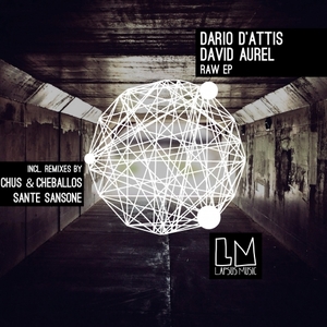 DAVID AUREL/DARIO D'ATTIS - Raw