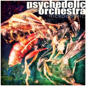 PSYCHEDELIC ORCHESTRA - Microcosmic