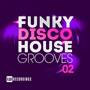 VARIOUS - Funky Disco House Grooves Vol 02
