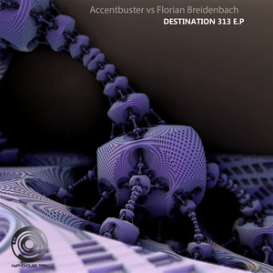ACCENTBUSTER & FLORIAN BREIDENBACH - Destination 313 EP