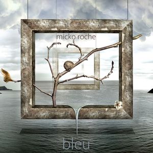 MICKO ROCHE - Bleu