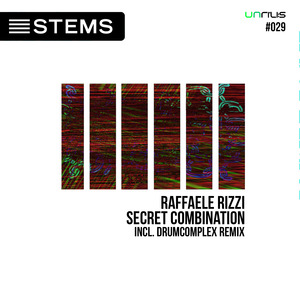 RAFFAELE RIZZI - Secret Combination