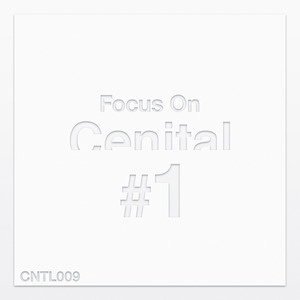 VARIOUS - Focus On Cenital Vol 1