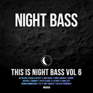 VARIOUS - This Is Night Bass Vol 6