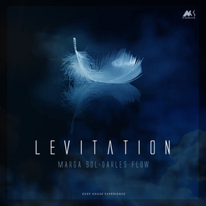 DARLES FLOW/MARGA SOL - Levitation (Deep House Experience)